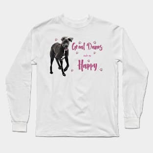 Great Danes make me Happy! Especially for Great Dane owners! Long Sleeve T-Shirt